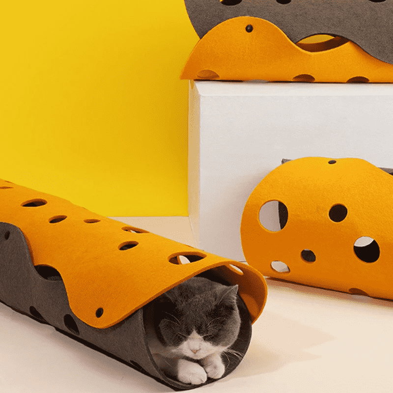 Zazu | Speelparadijs voor nieuwsgierige en actieve katten