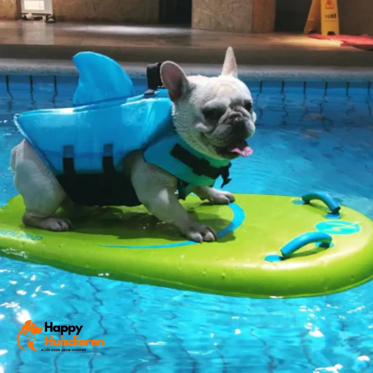 Zwemvest voor Honden – Lichtgewicht Reddingsvest met Handgreep, Verstelbaar & Reflecterend (veilig zwemmen/varen)