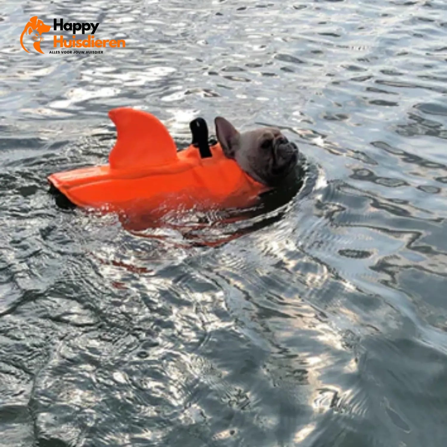 Zwemvest voor Honden – Lichtgewicht Reddingsvest met Handgreep, Verstelbaar & Reflecterend (veilig zwemmen/varen)