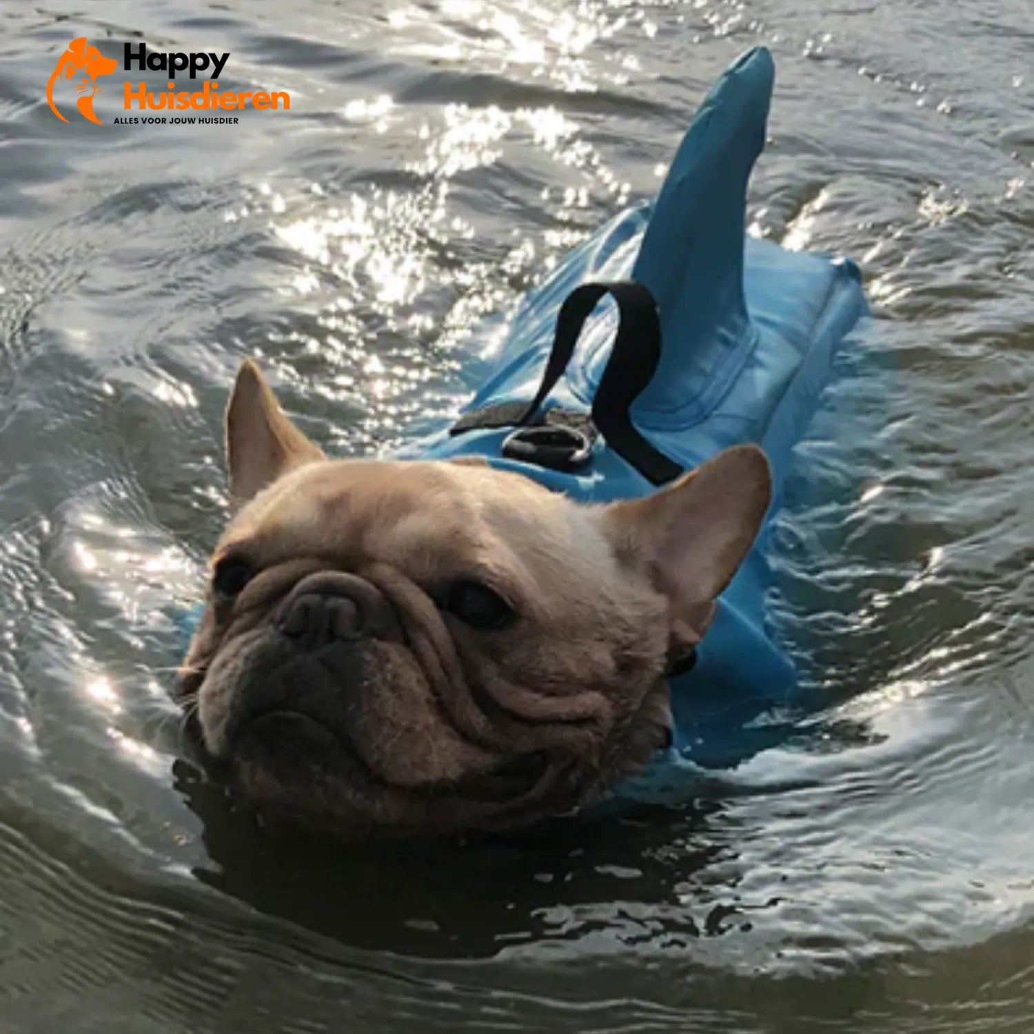 Zwemvest voor Honden – Lichtgewicht Reddingsvest met Handgreep, Verstelbaar & Reflecterend (veilig zwemmen/varen)