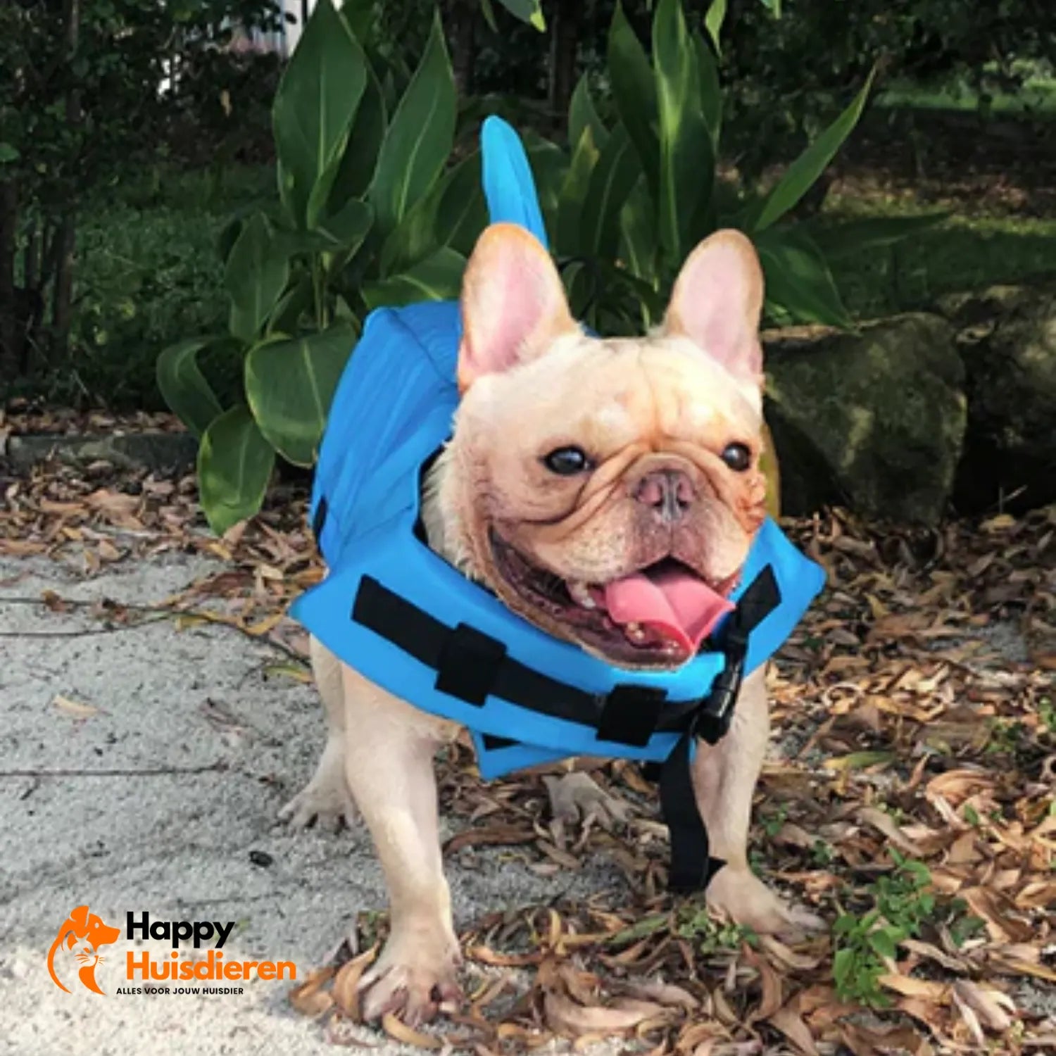 Zwemvest voor Honden – Lichtgewicht Reddingsvest met Handgreep, Verstelbaar & Reflecterend (veilig zwemmen/varen)