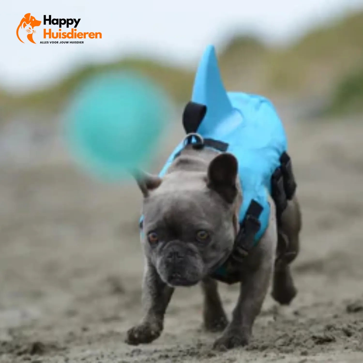 Zwemvest voor Honden – Lichtgewicht Reddingsvest met Handgreep, Verstelbaar & Reflecterend (veilig zwemmen/varen)