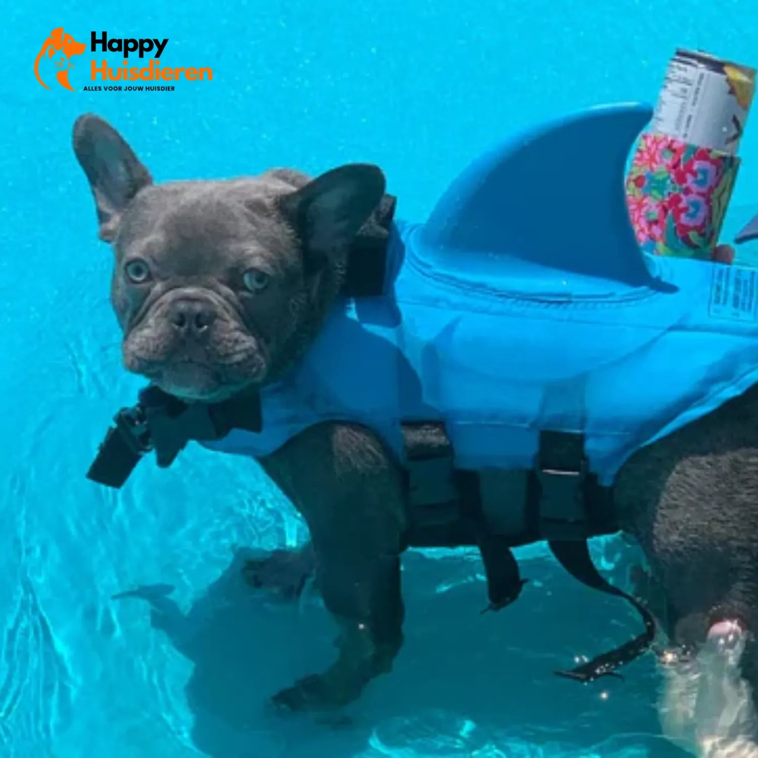 Zwemvest voor Honden – Lichtgewicht Reddingsvest met Handgreep, Verstelbaar & Reflecterend (veilig zwemmen/varen)