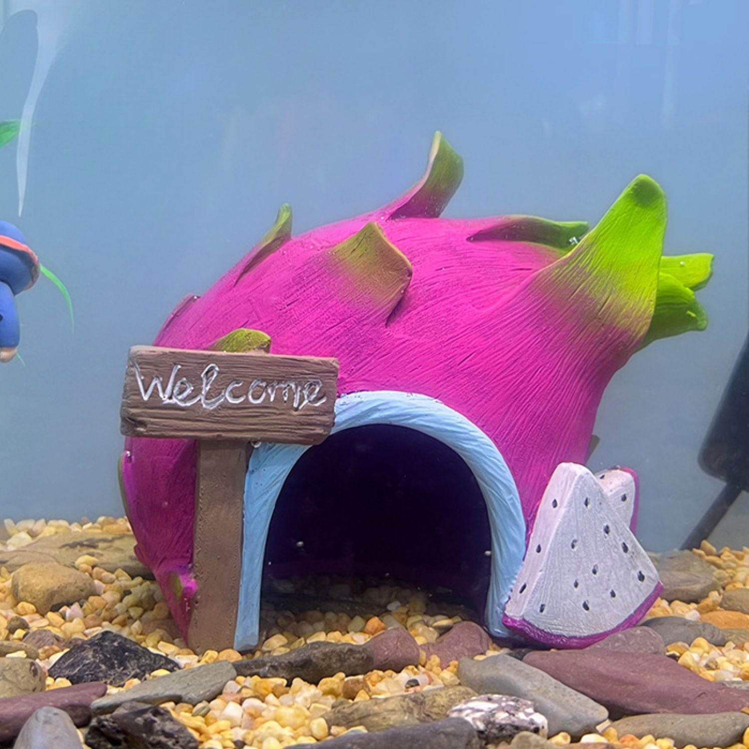 Exotische aquariumdecoratie voor een levendig tropisch onderwaterlandschap