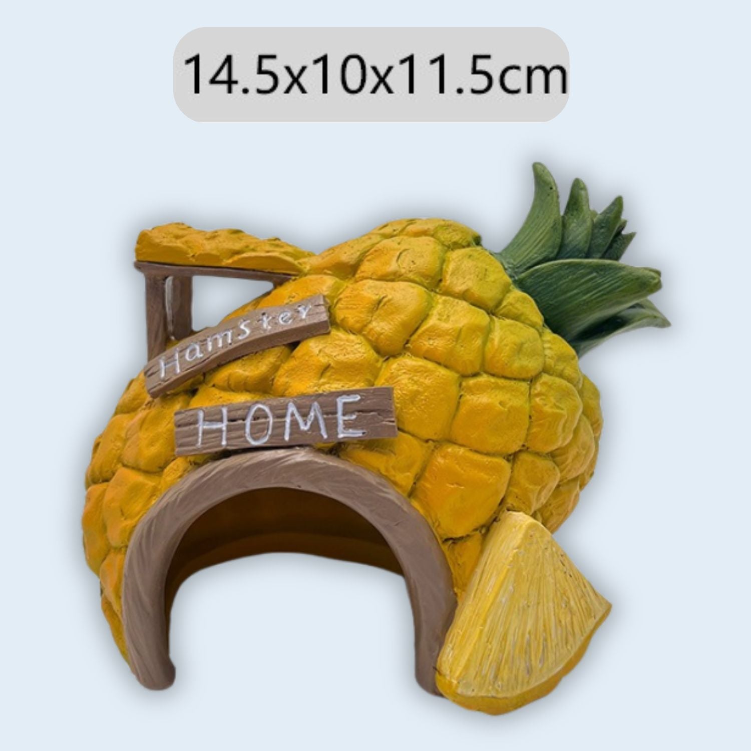 Exotische aquariumdecoratie voor een levendig tropisch onderwaterlandschap