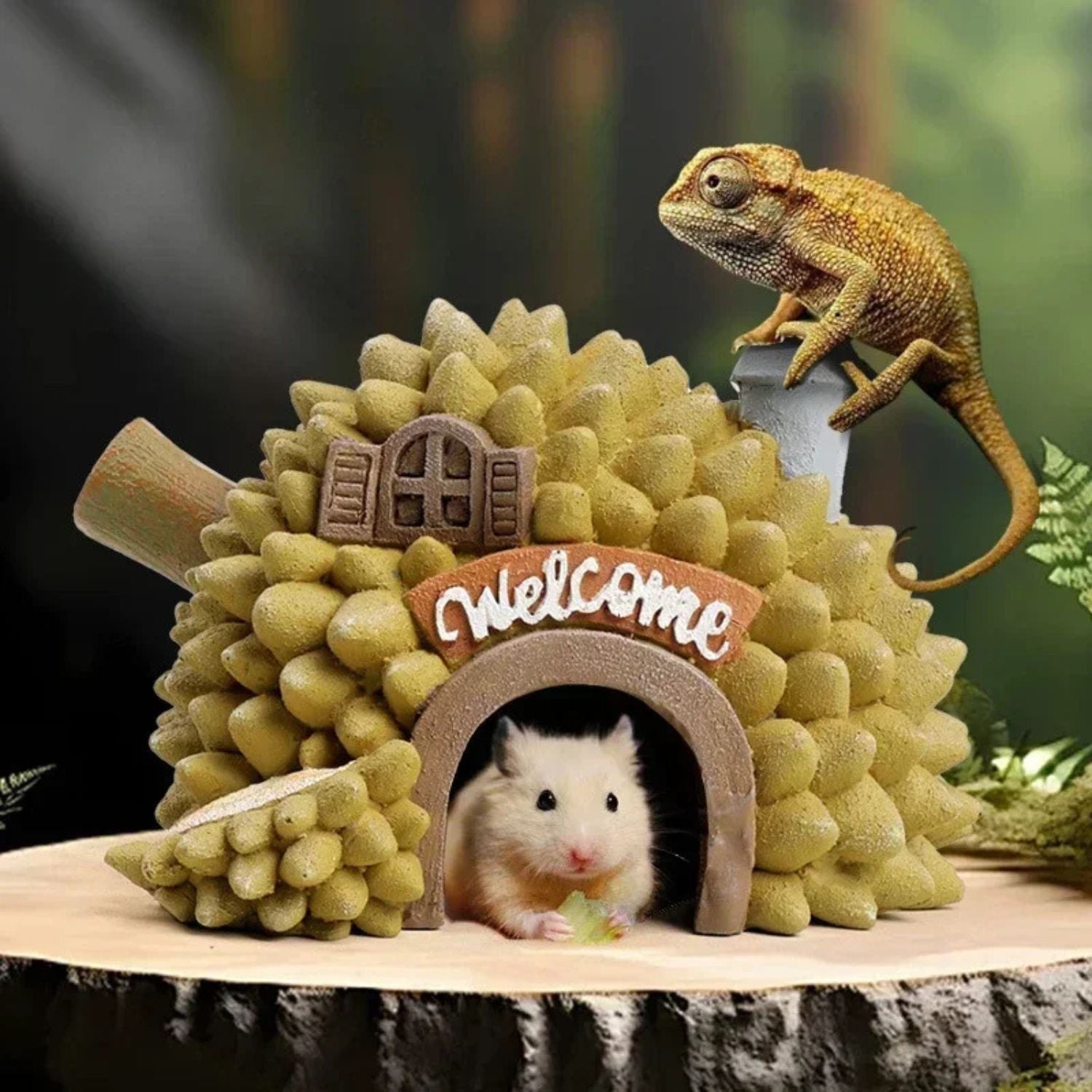 Exotische aquariumdecoratie voor een levendig tropisch onderwaterlandschap