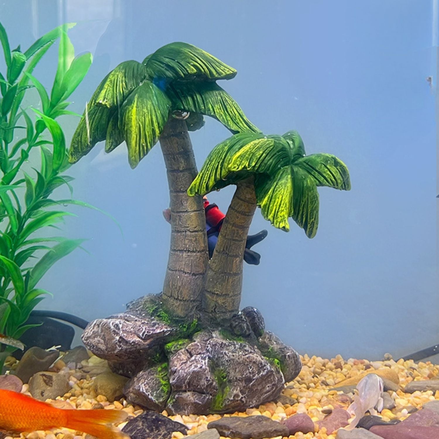 Exotische aquariumdecoratie voor een levendig tropisch onderwaterlandschap