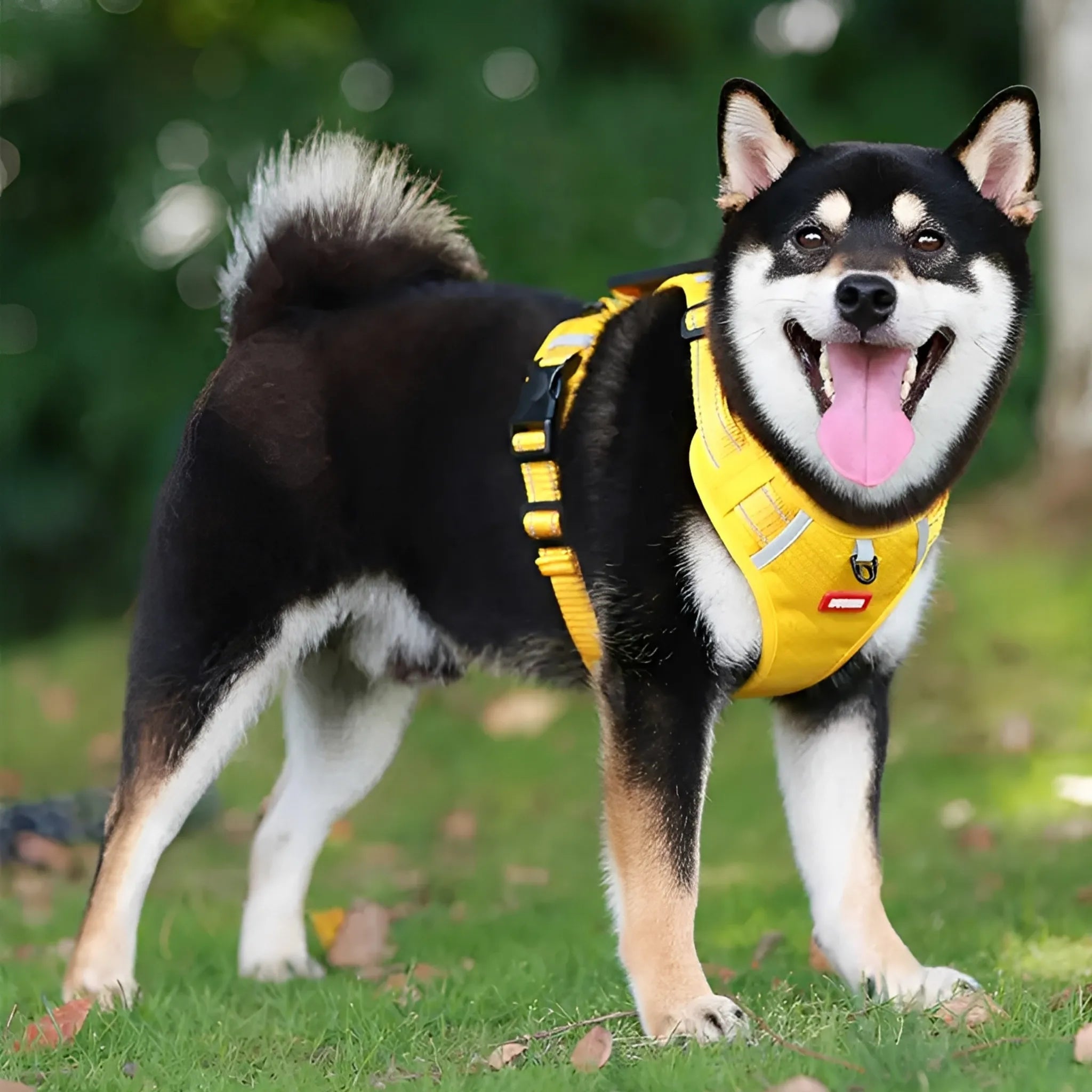 BlijeLoop Partner | Comfortabele Hondentuig voor Pijnvrij Uitlaten