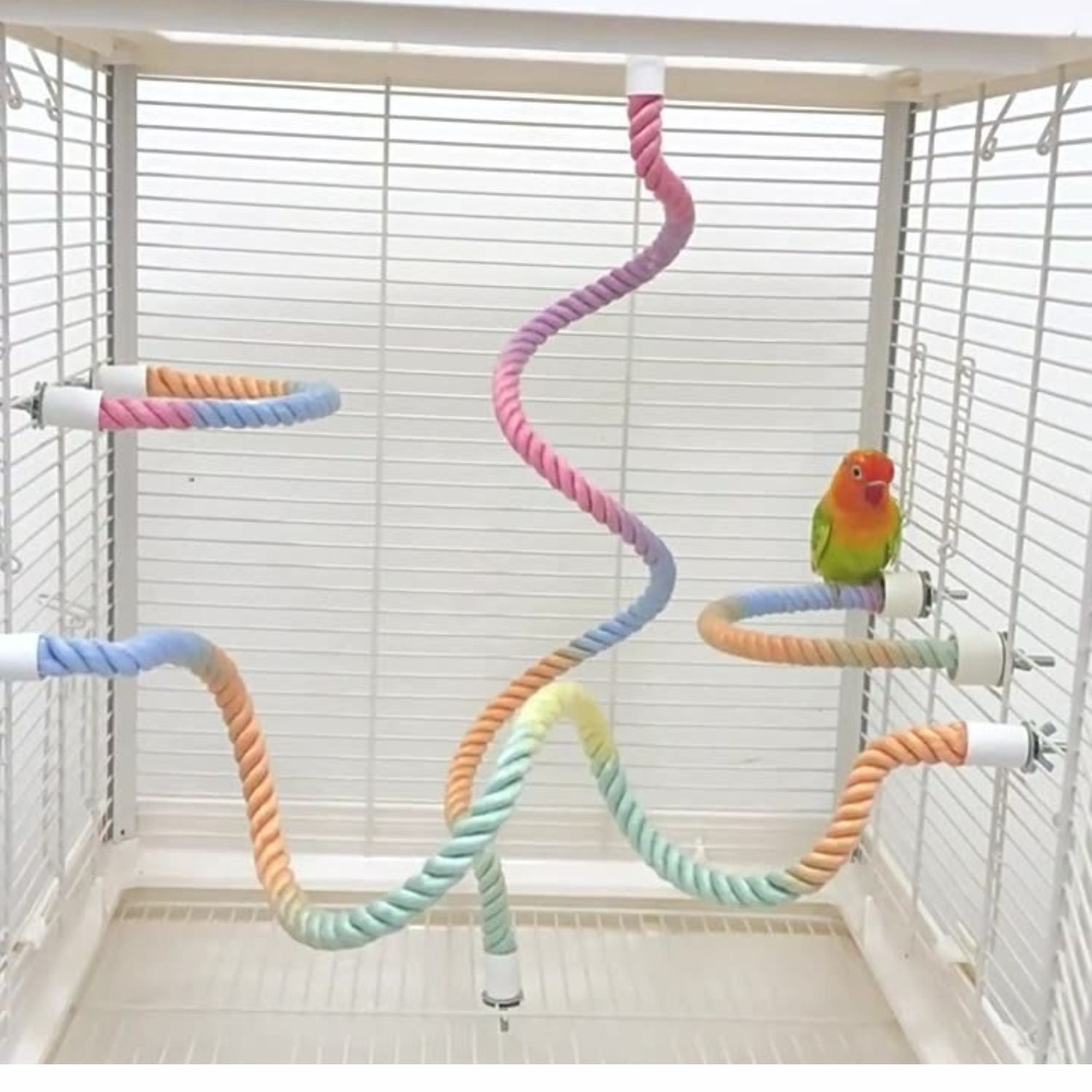 Kleurrijk klimtouw voor actieve vogels in een vogelkooi