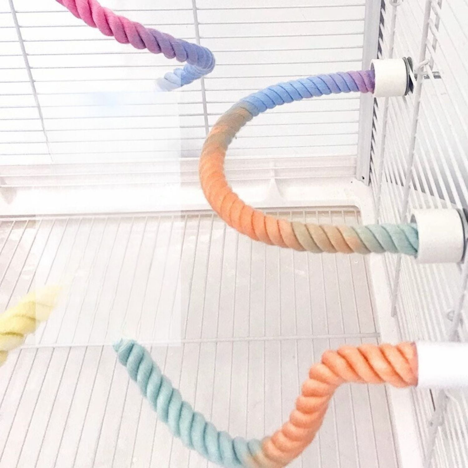 Kleurrijk klimtouw voor actieve vogels in een vogelkooi