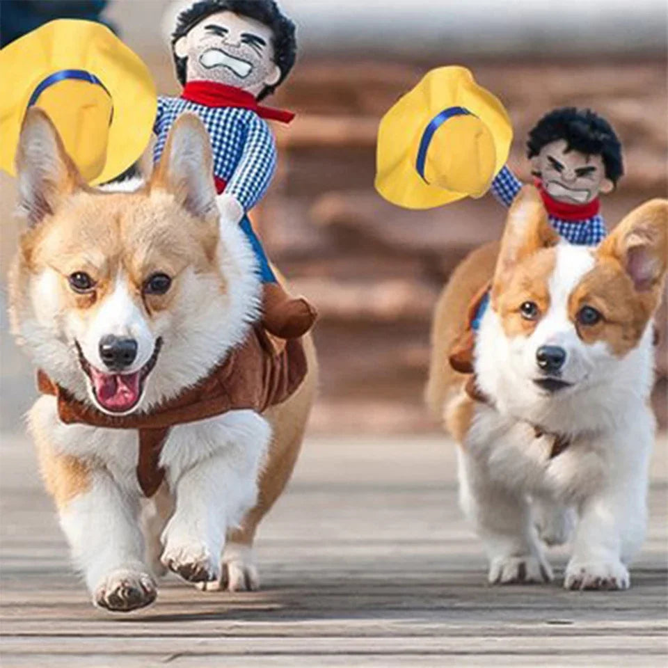 Hondenkostuum als grappige cowboy voor Halloween, geschikt voor kleine en grote honden zoals Franse Bulldogs en Chihuahuas