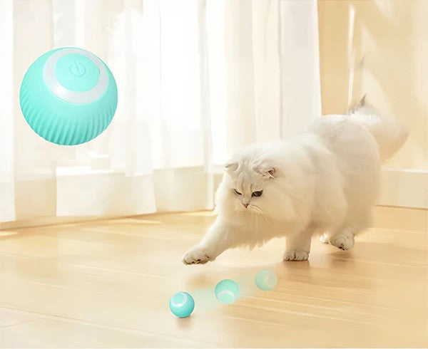 Katavontuur Speelmat | Laat Jachtinstincten Tot Leven Komen