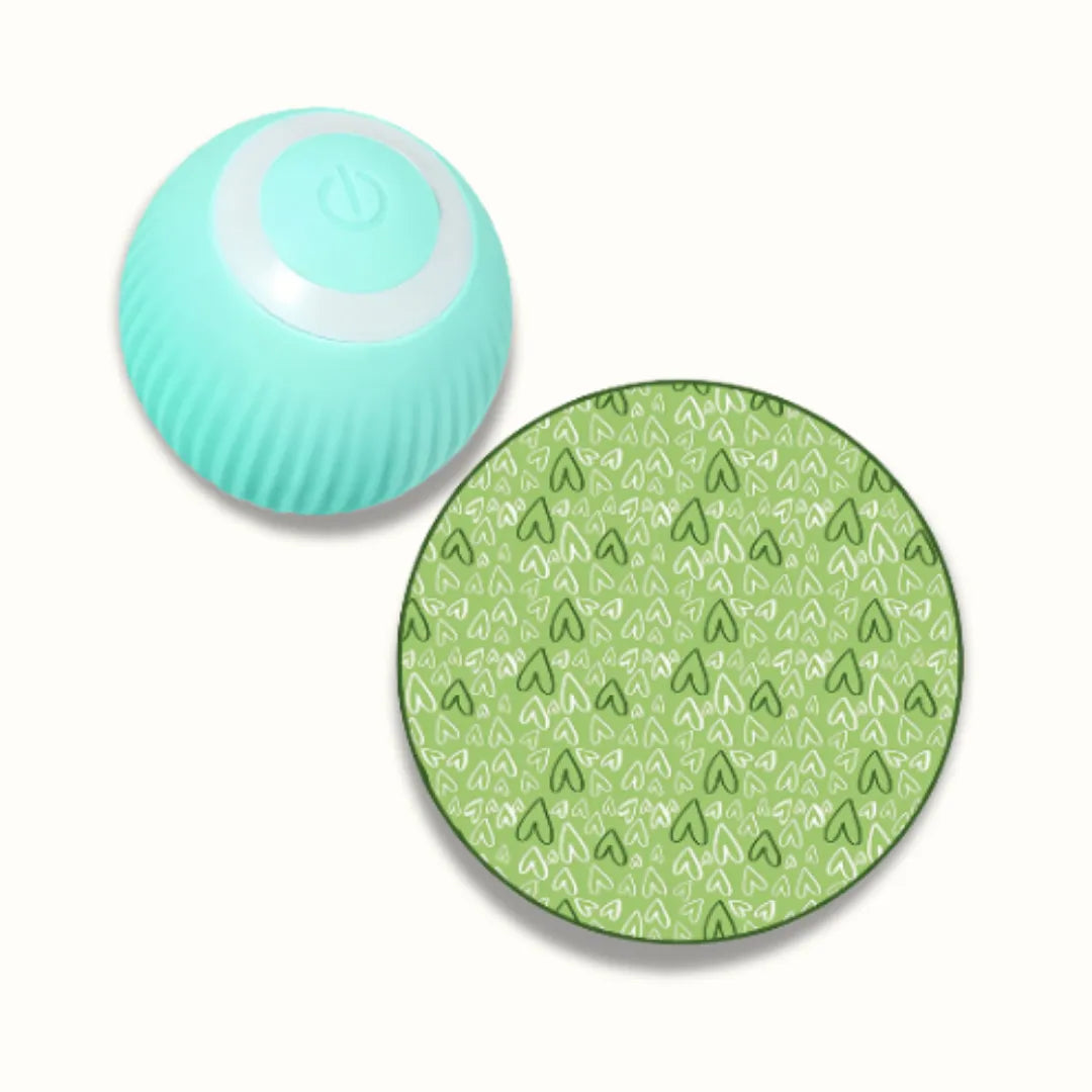 Katavontuur Speelmat | Laat Jachtinstincten Tot Leven Komen