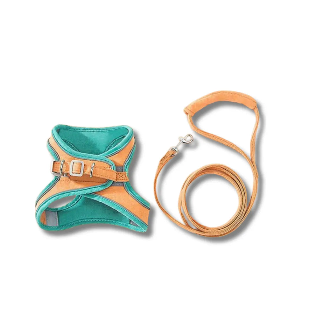 KatjeKlaar Tuigje | Verstelbaar en Veilig Veiligheidstuigje voor Katten