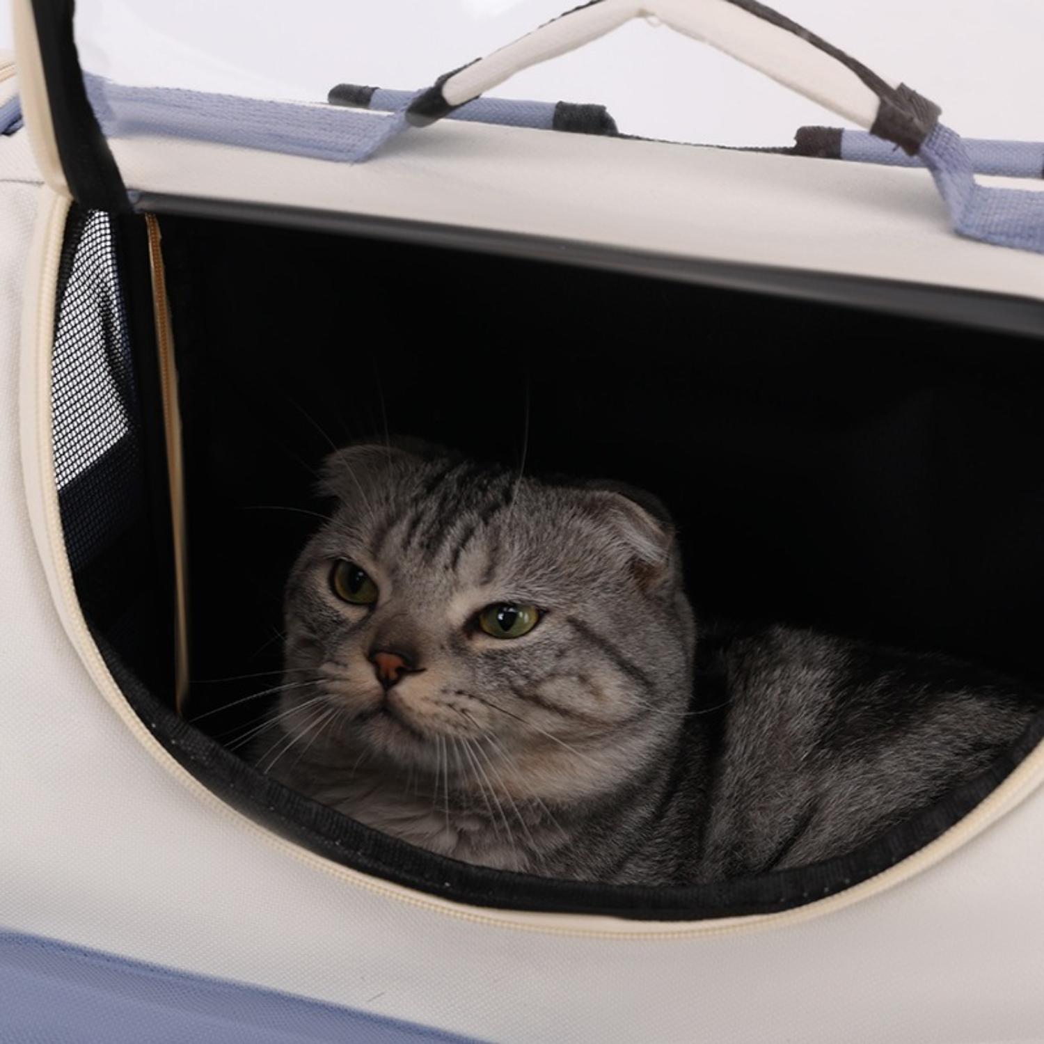 Rugzak speciaal ontworpen voor het comfortabel dragen van katten