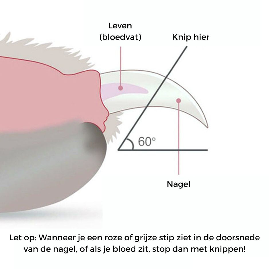 Handige nagelknipper voor honden en katten voor snelle en gemakkelijke nagelverzorging