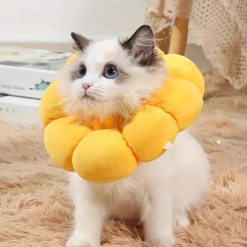 Comfortabele herstelkraag voor huisdieren