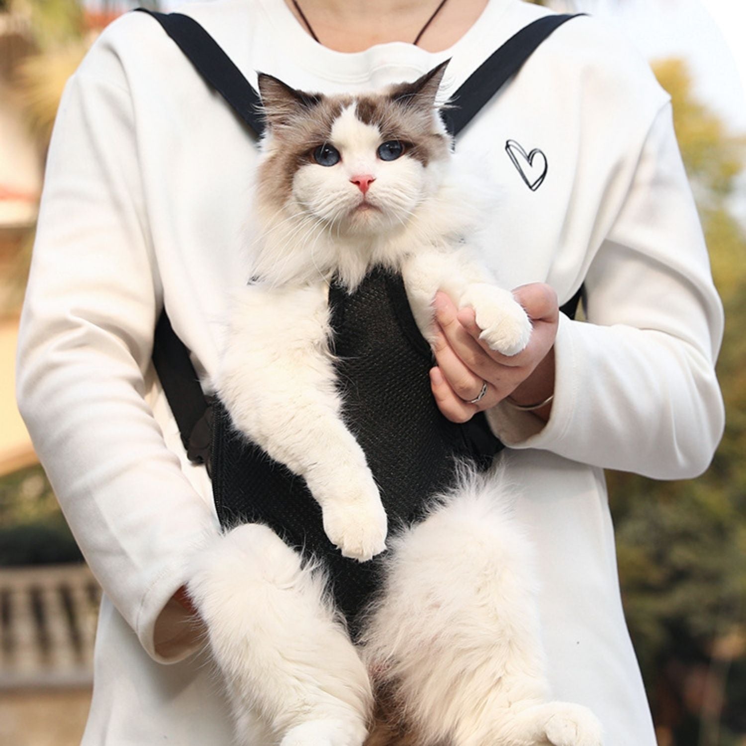 Draagtas voor katten en kleine honden voor een comfortabele reiservaring