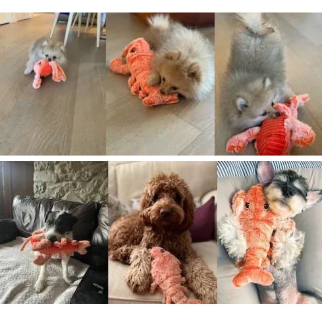 Kreeft Speelkameraad | Interactief Hondenspeelgoed voor Eindeloos Plezier