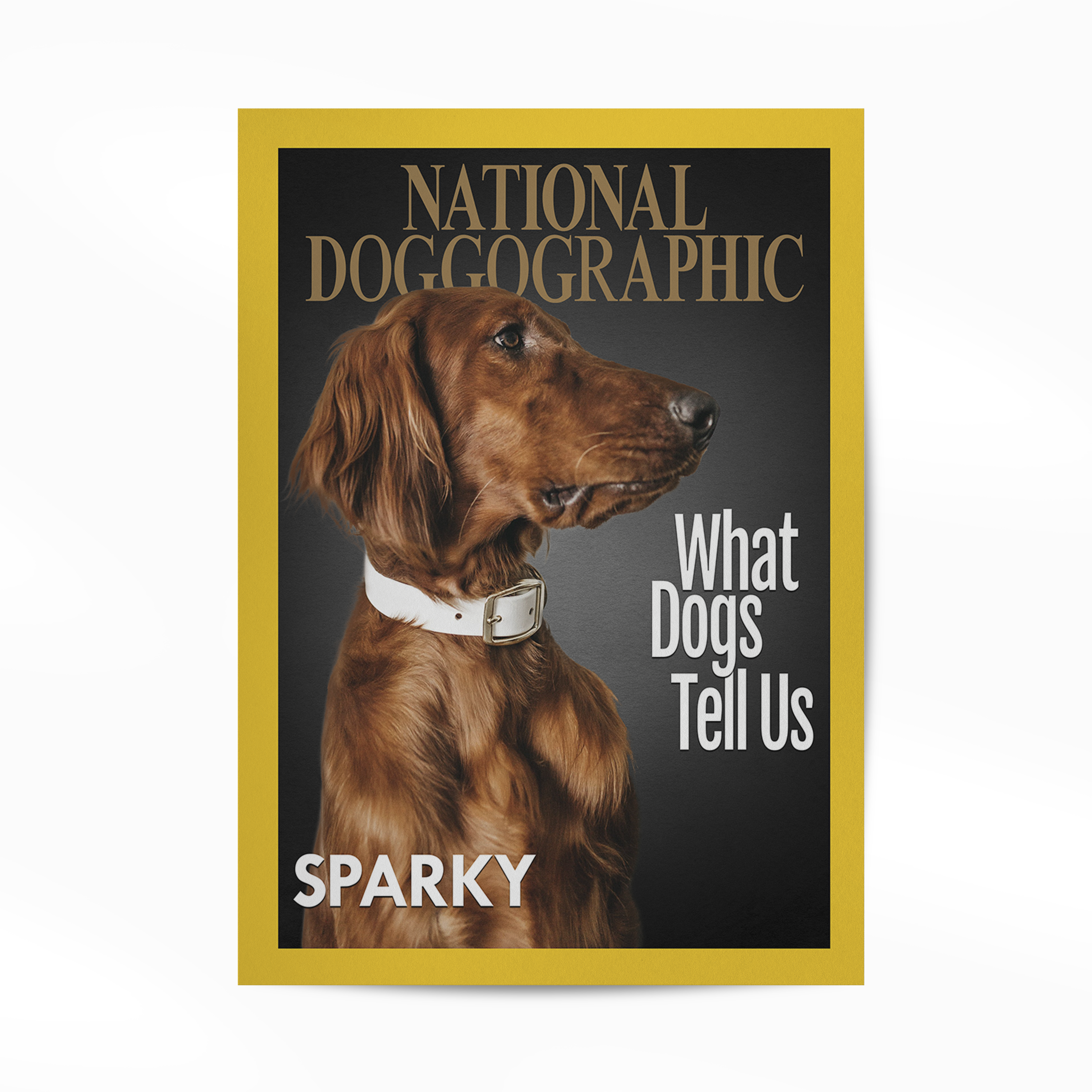 PetMuse | Gepersonaliseerd dierenportret met liefde