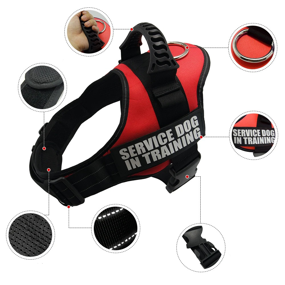 Comfortabel hondenharnas met geïntegreerd ID-label