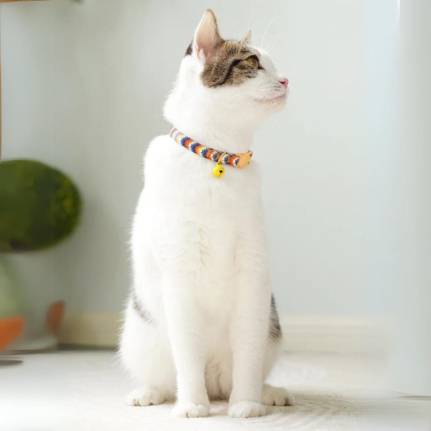 Kattenhalsband met een anti-verstikkingsgesp, inclusief gratis extra