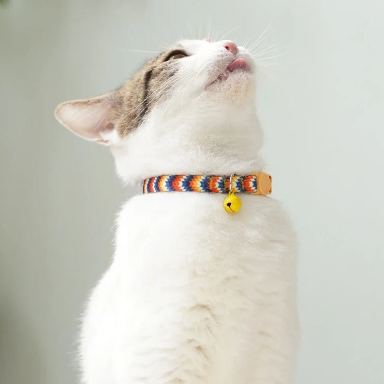 Kattenhalsband met een anti-verstikkingsgesp, inclusief gratis extra