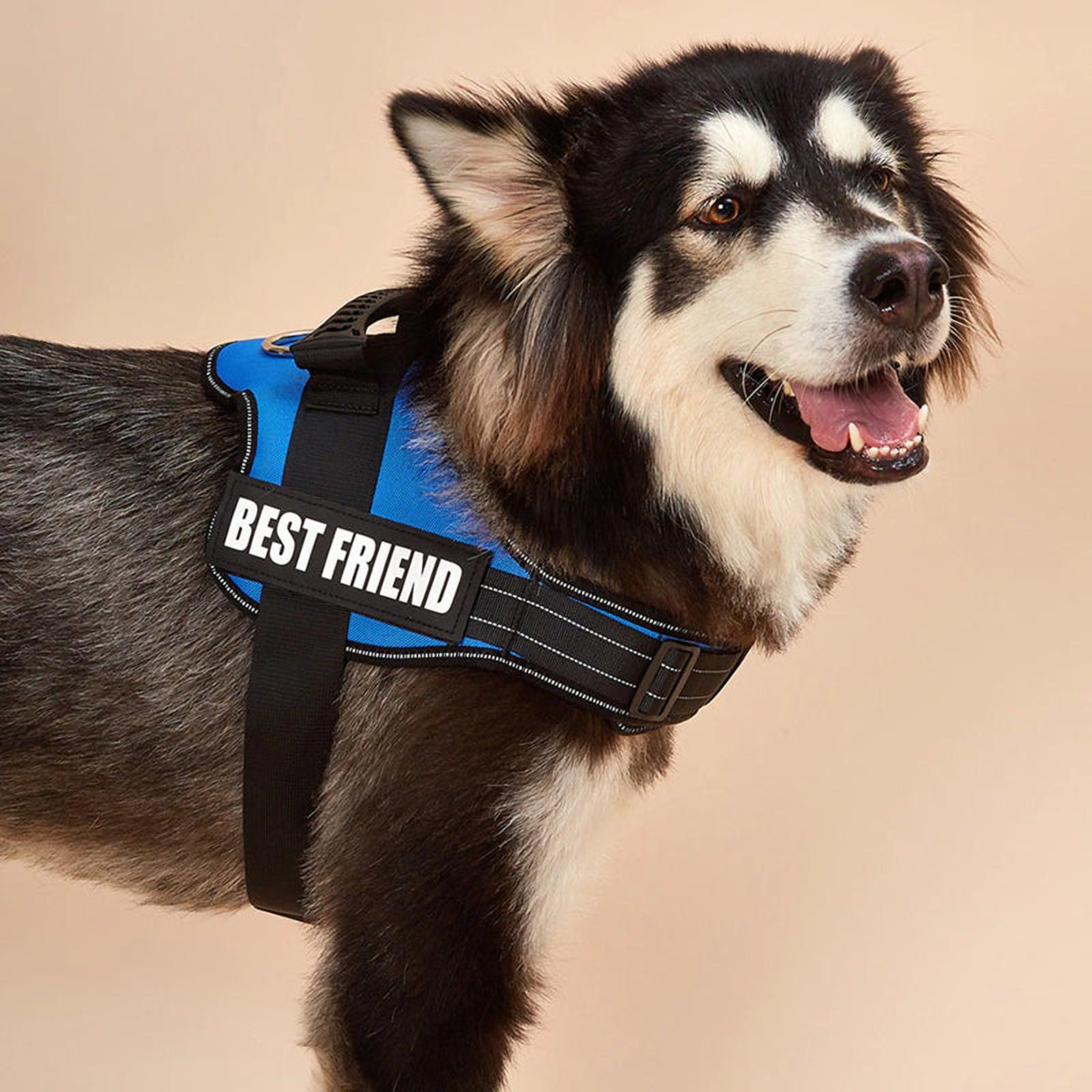 Verstelbaar WandelPartner | No-Pull Hondenharnas voor Optimaal Comfort