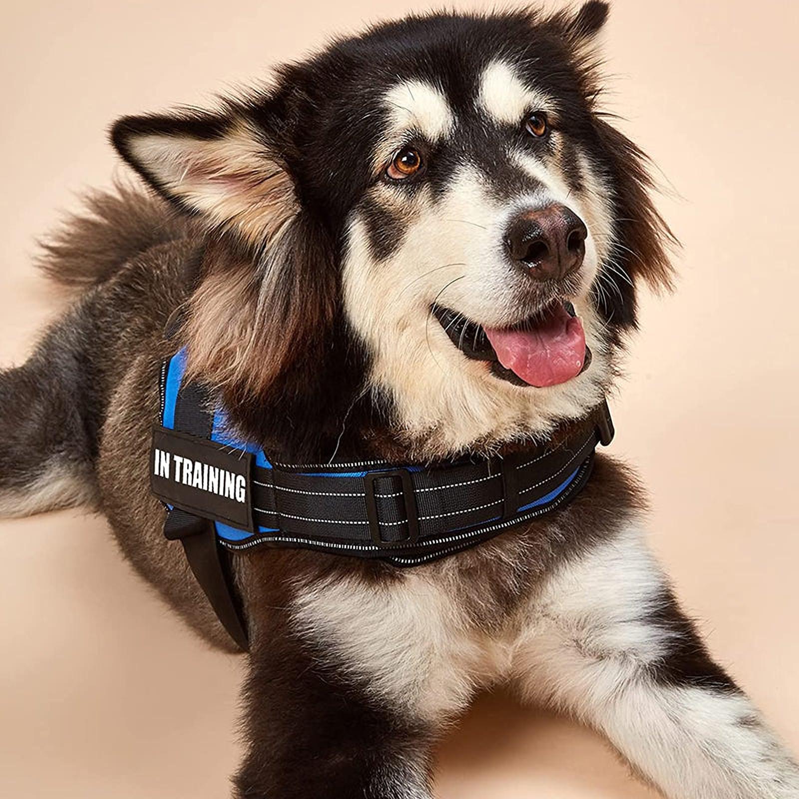 Verstelbaar WandelPartner | No-Pull Hondenharnas voor Optimaal Comfort