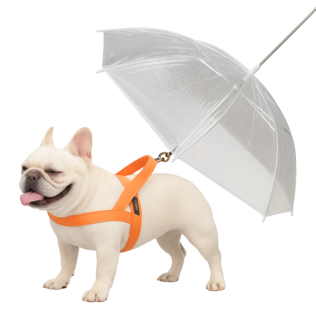 Weerbestendige beschermingsparaplu voor honden tijdens wandelingen