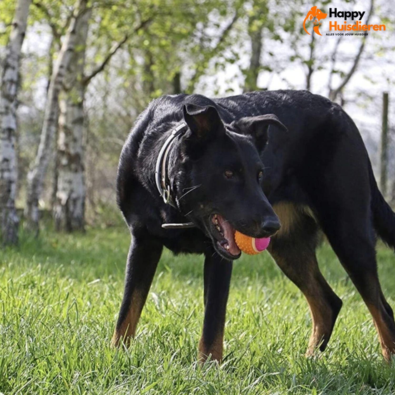 SmartPup | Interactieve Trainingsbal voor Slimme Honden