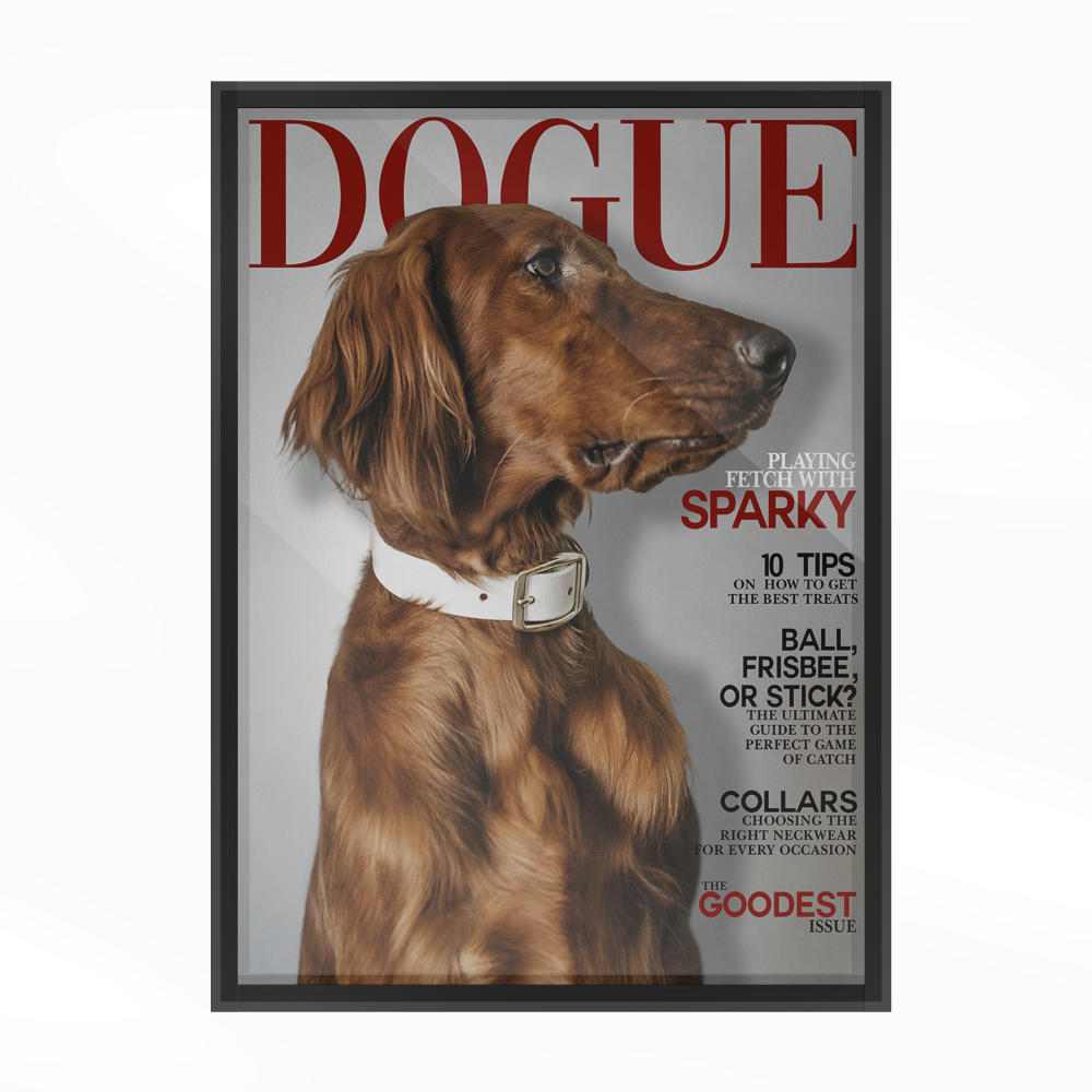 PetMuse | Gepersonaliseerd dierenportret met liefde