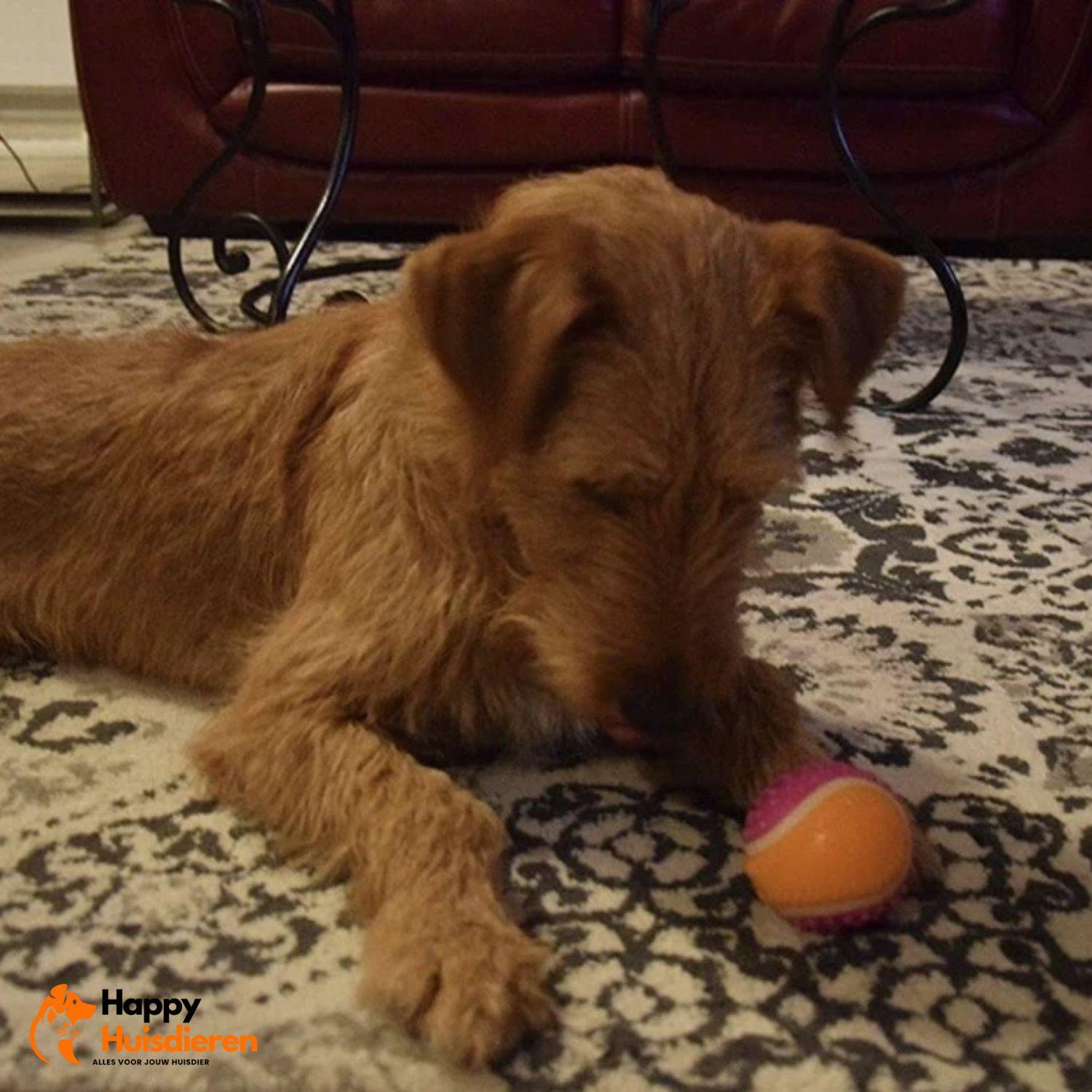 SmartPup | Interactieve Trainingsbal voor Slimme Honden