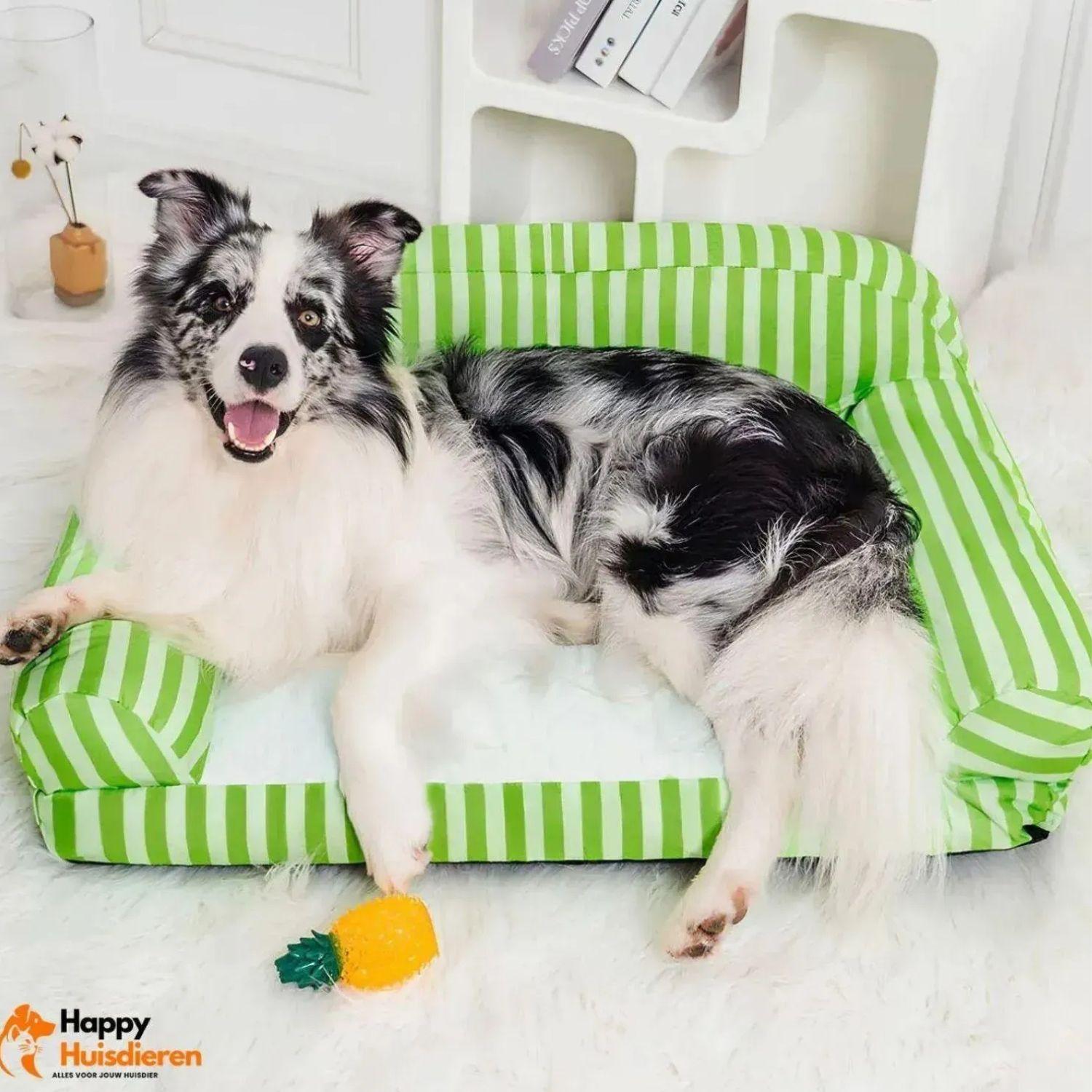 ChillPaw Huisdiermat | Verfrissend Gestreept Koelbed voor Honden