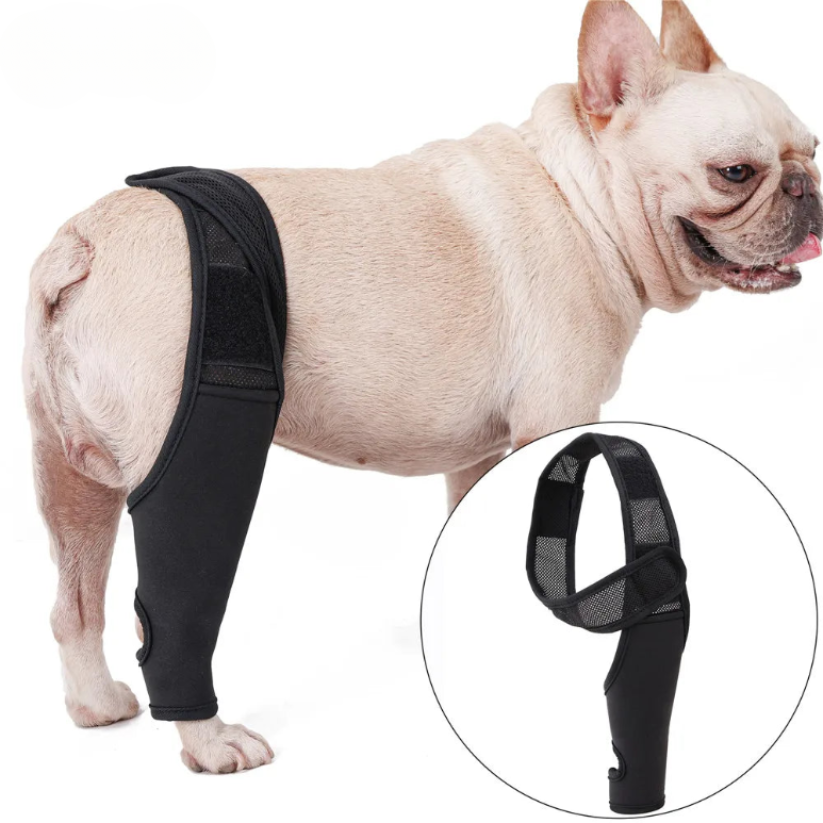 CanisCare Kniebrace | Ondersteunende Pootbandage voor Herstel bij Honden Revalidatie