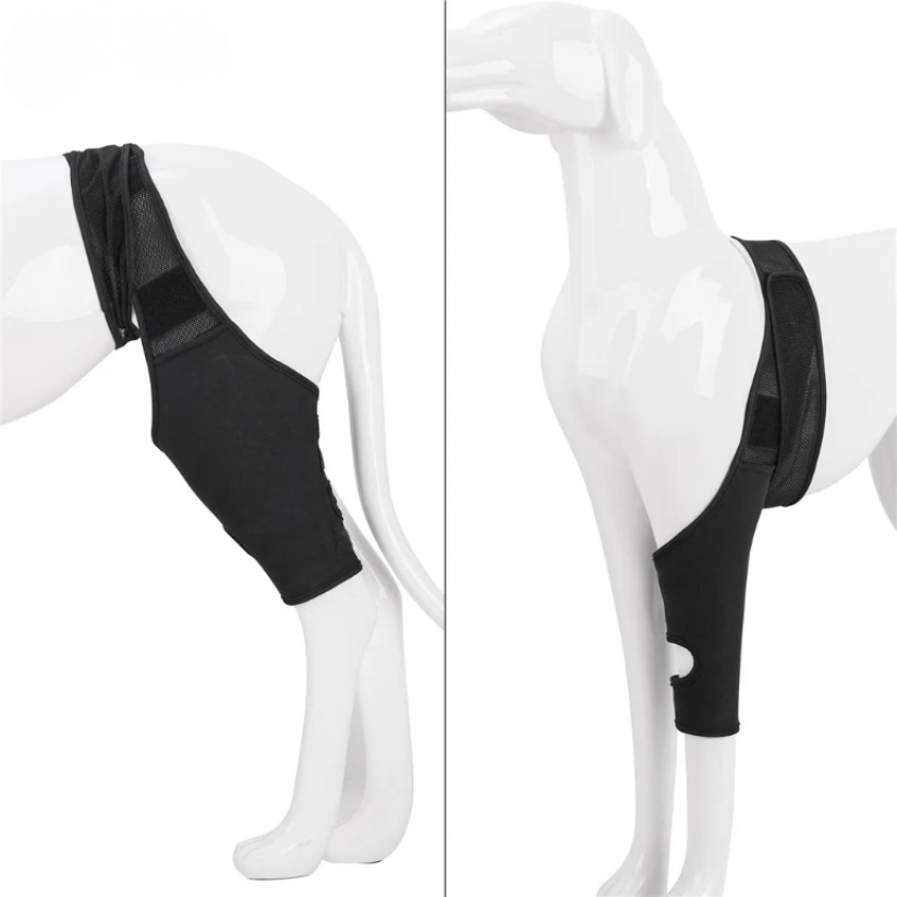 CanisCare Kniebrace | Ondersteunende Pootbandage voor Herstel bij Honden Revalidatie
