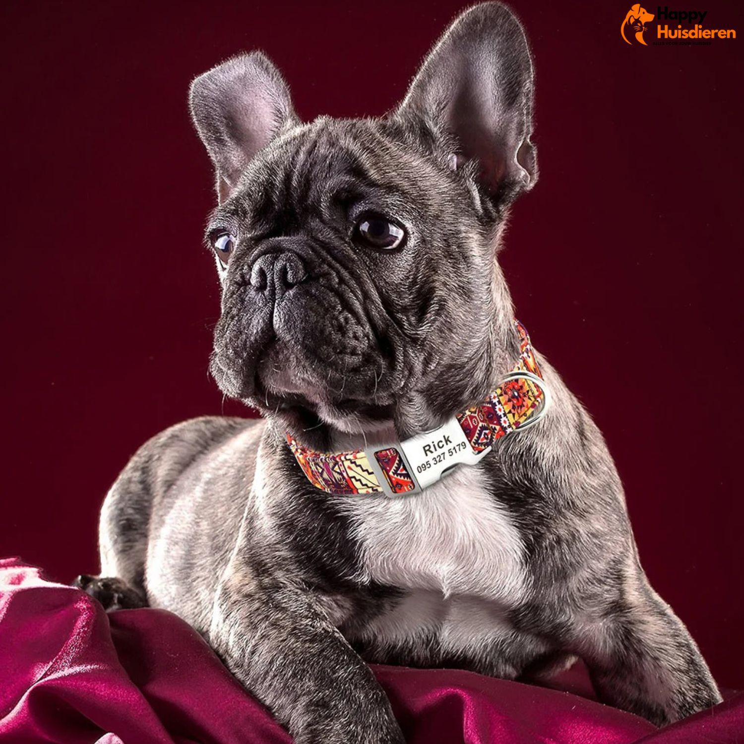 PawEngrave | Gepersonaliseerde hondenhalsband met naamgravure