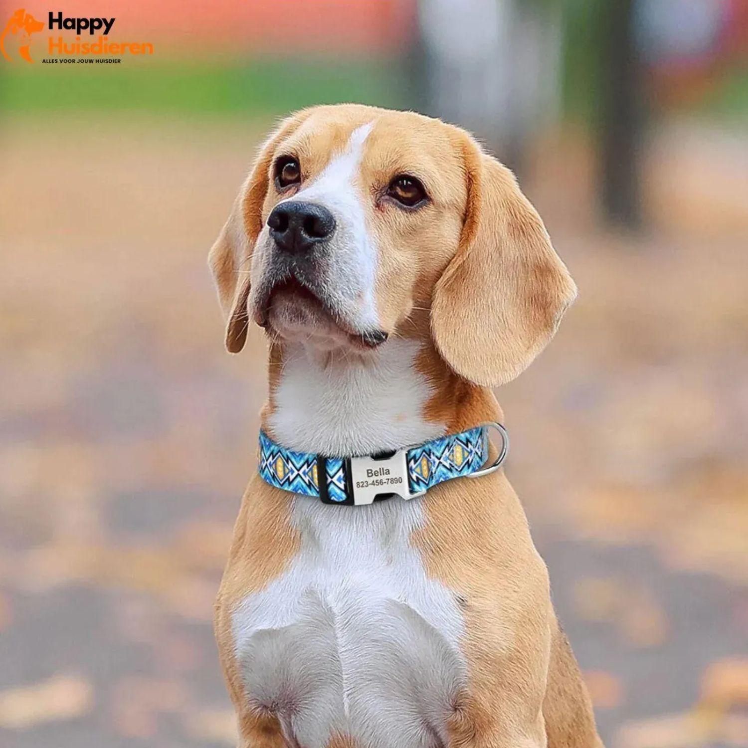 Gepersonaliseerde nylon halsband met snelsluiting. Duurzaam verstelbaar ontwerp voor veiligheid en comfort