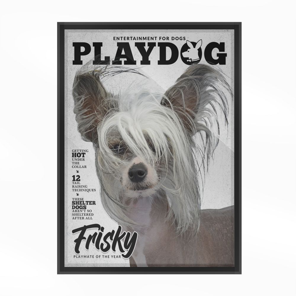 PetMuse | Gepersonaliseerd dierenportret met liefde