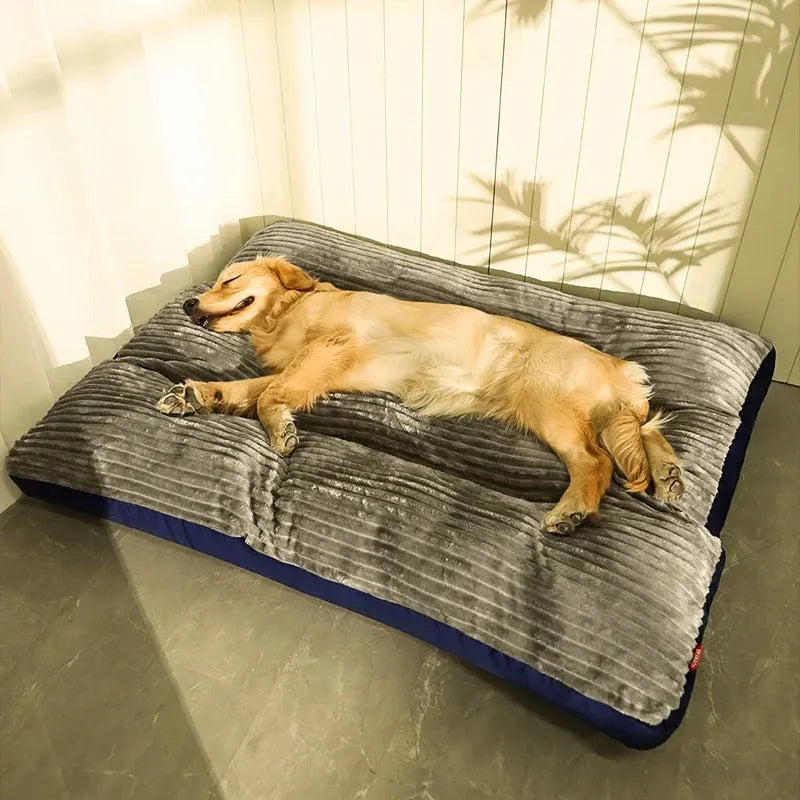 PawRest | Orthopedisch hondenkussen voor gewrichtsondersteuning en diepe rust