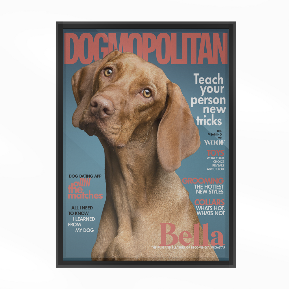 PetMuse | Gepersonaliseerd dierenportret met liefde
