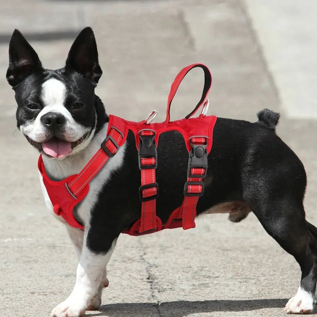 GripPro | Krachtig tuig voor sterke honden met 3 bevestigingspunten
