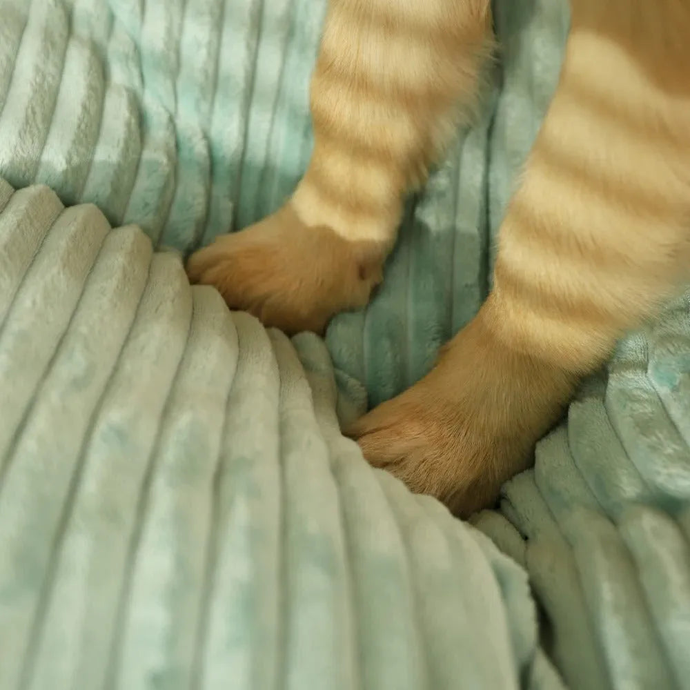 PawRest | Orthopedisch hondenkussen voor gewrichtsondersteuning en diepe rust