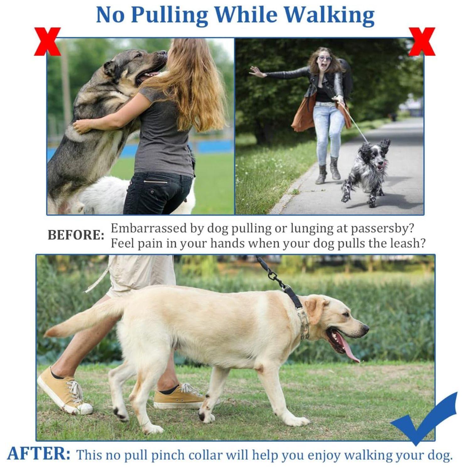 LeadEase Anti Trek Halsband | No-pull trainingshalsband voor gecontroleerde en ontspannen wandelingen