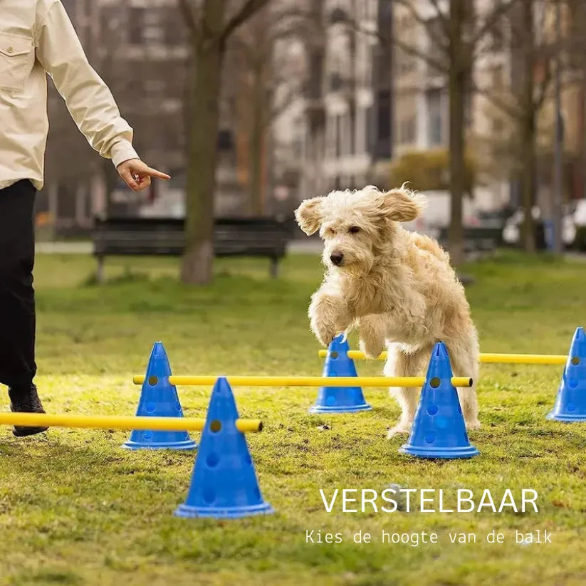 AgiliPaw Trainingsset | Verstelbare Behendigheidsbalken voor Hondentraining