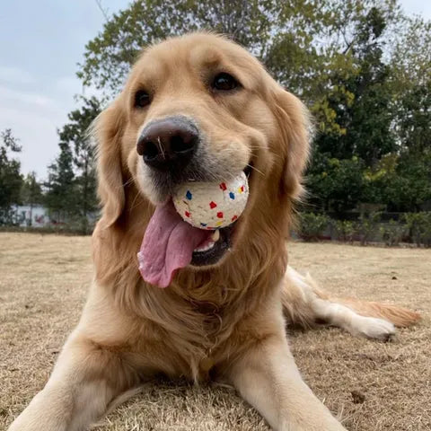 Apollo | Duurzame kauwbal voor honden
