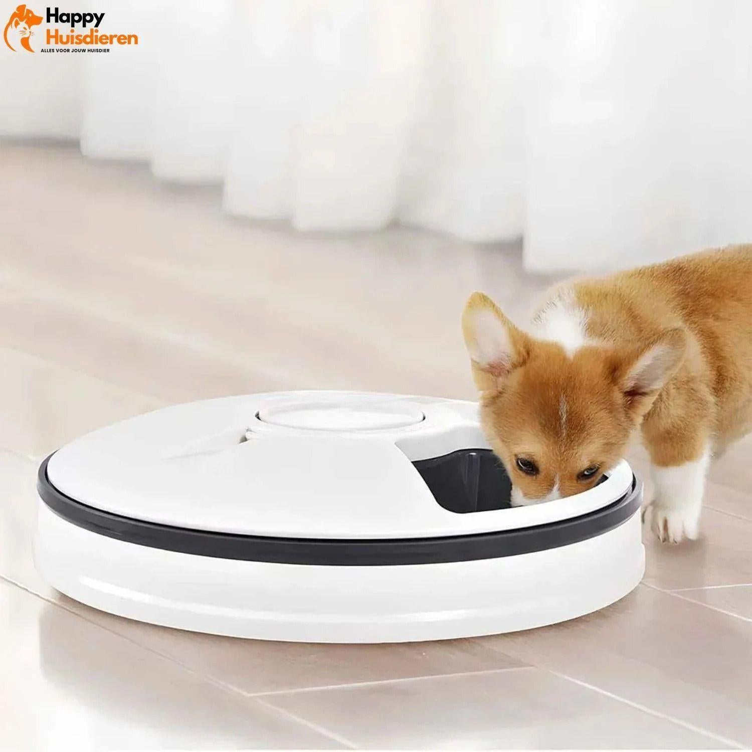 Automatische Voedermaat | Timergestuurde Dispenser voor Katten en Puppy’s