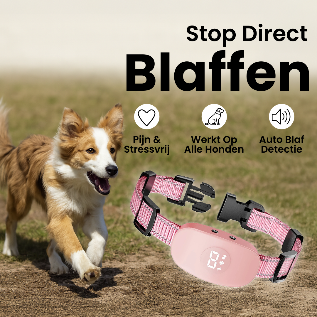 HondStil Husher | Anti Blaffen Halsband met 8 Niveaus en 4 Modi