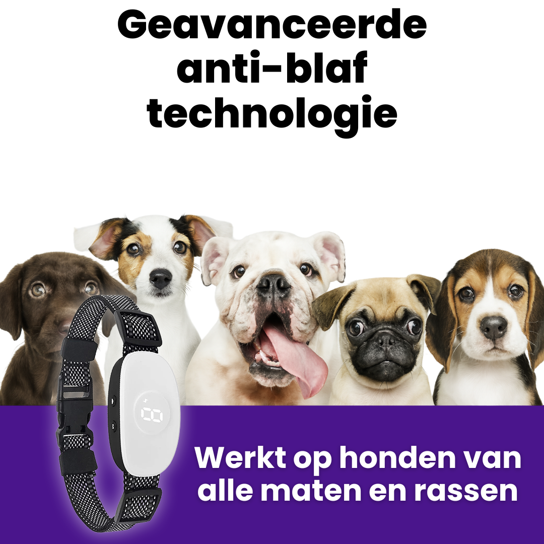 HondStil Husher | Anti Blaffen Halsband met 8 Niveaus en 4 Modi