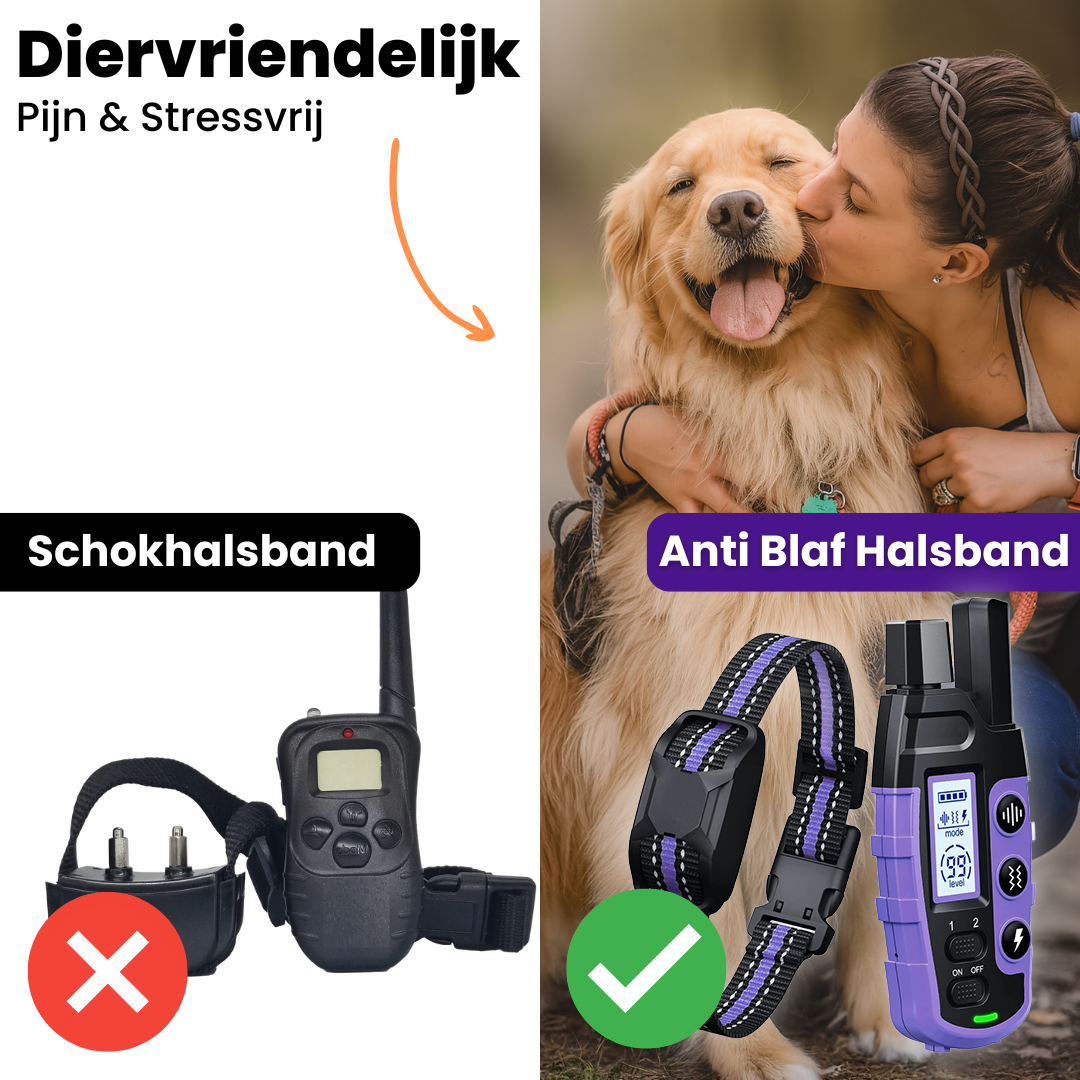FidoTrainer Pro | Oplaadbare Waterdichte Honden Trainingshalsband met Afstandsbediening